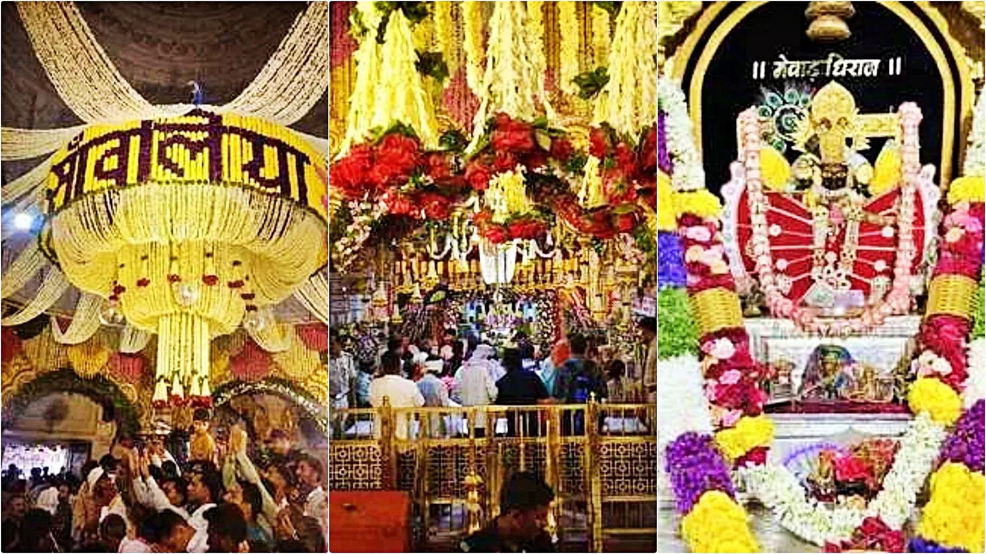 Chittorgarh: फूलों से सजा सांवलिया धाम, जन्माष्टमी पर भक्तों की भारी उपस्थिति Chittorgarh: फूलों से सजा सांवलिया धाम, जन्माष्टमी पर भक्तों की भारी उपस्थिति