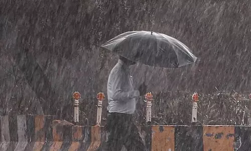 प्रदेश में अब तक 713.2 मिमी औसत वर्षा दर्ज