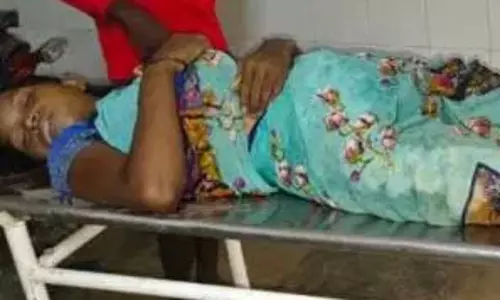सर्पदंश का खतरा ज्यादा, 2 महिलाओं की ली जान