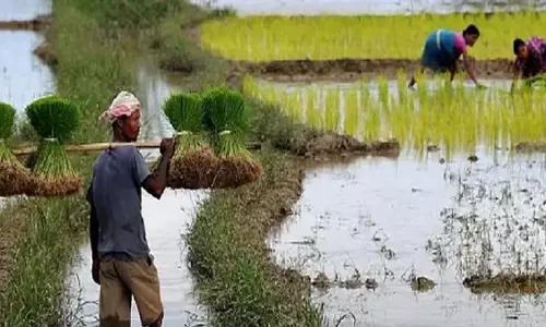 Assam  में 1 करोड़ रुपये का कृषि प्रशिक्षण केंद्र खंडहर में  है पड़ा