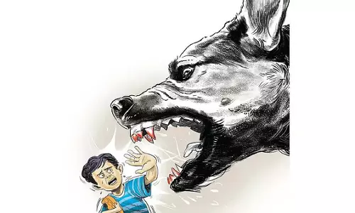 Kerala  में बढ़ते हमलों के दबाव के बीच आवारा कुत्तों को सीमित संख्या में मारने पर विचार