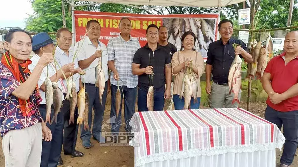 Nagaland : जलुकी घाटी में स्थानीय ताज़ी मछली की बिक्री शुरू