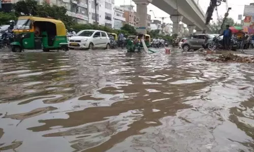 Faridabad: जलभराव से सौ परिवारों की मुश्किलें बढ़ीं Faridabad: जलभराव से सौ परिवारों की मुश्किलें बढ़ीं