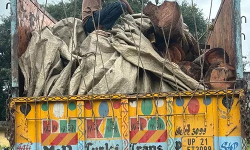 लकड़ी तस्करों का गिरोह बेखौफ, पुलिस ने जब्त किया 30 टन लकड़ी से भरा ट्रक लकड़ी तस्करों का गिरोह बेखौफ, पुलिस ने जब्त किया 30 टन लकड़ी से भरा ट्रक
