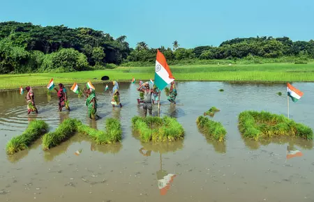 किसानों को 25 करोड़ से ज्यादा सॉइल हेल्थ कार्ड बांटे गए, योजना के लिए 1,706 करोड़ रुपए जारी किसानों को 25 करोड़ से ज्यादा सॉइल हेल्थ कार्ड बांटे गए, योजना के लिए 1,706 करोड़ रुपए जारी