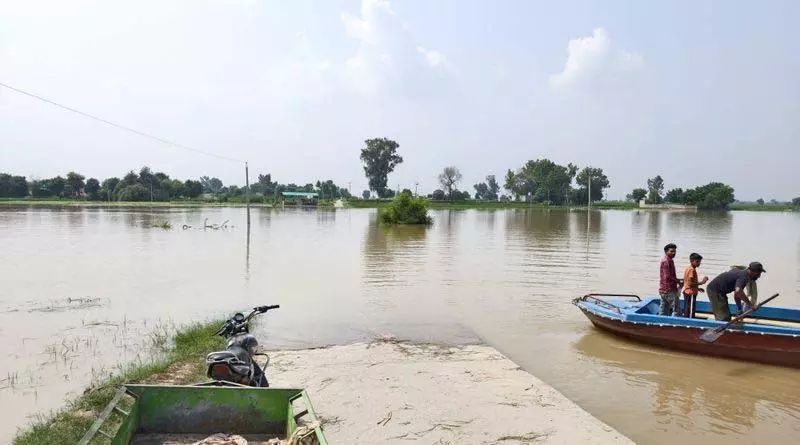 सतलुज नदी से Fazilka के 15 गांवों की हजारों एकड़ जमीन जलमग्न सतलुज नदी से Fazilka के 15 गांवों की हजारों एकड़ जमीन जलमग्न