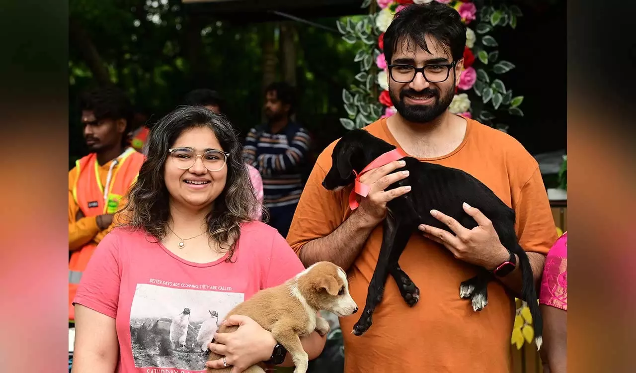 गोद लिए गए देशी पिल्लों को परिवार के समान समझें: Commissioner गोद लिए गए देशी पिल्लों को परिवार के समान समझें: Commissioner