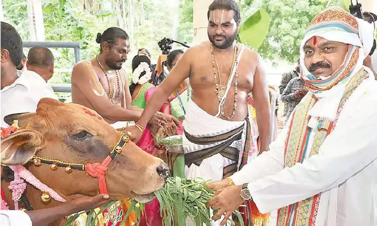 गायों की रक्षा में हमारा सहयोग करें, TTD EO की अपील गायों की रक्षा में हमारा सहयोग करें, TTD EO की अपील