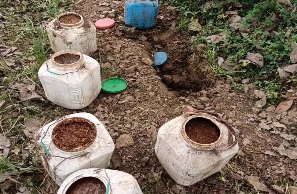 CG: 80 लीटर कच्ची महुआ शराब जब्त, दो आरोपी गिरफ्तार CG: 80 लीटर कच्ची महुआ शराब जब्त, दो आरोपी गिरफ्तार