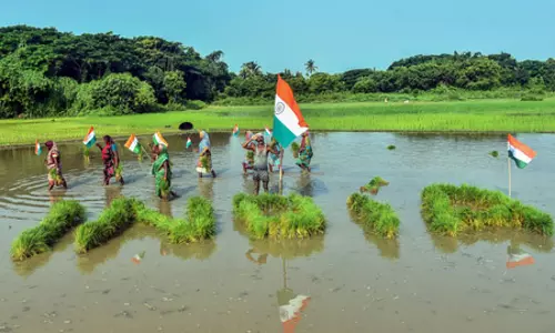 किसानों को 25 करोड़ से ज्यादा सॉइल हेल्थ कार्ड बांटे गए, योजना के लिए 1,706 करोड़ रुपए जारी किसानों को 25 करोड़ से ज्यादा सॉइल हेल्थ कार्ड बांटे गए, योजना के लिए 1,706 करोड़ रुपए जारी