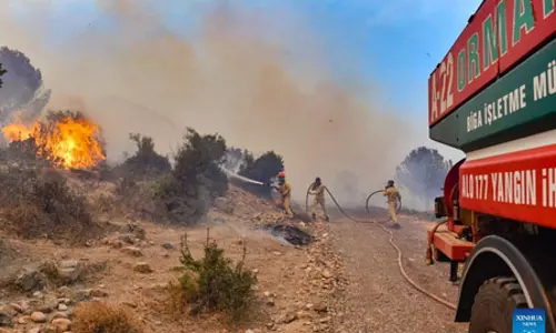तुर्की में जंगल की आग के कारण कई गांव खाली कराए गए