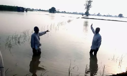 Haryana : सरकार ने 4 जिलों में फसल नुकसान के दावों के लिए ई-क्षतिपूर्ति पोर्टल खोला Haryana : सरकार ने 4 जिलों में फसल नुकसान के दावों के लिए ई-क्षतिपूर्ति पोर्टल खोला