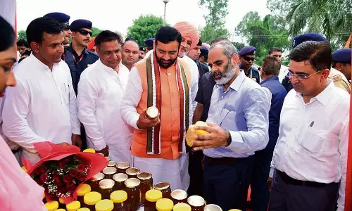 CM ने शहद को भावांतर भरपाई योजना के तहत कवर करने की घोषणा की CM ने शहद को भावांतर भरपाई योजना के तहत कवर करने की घोषणा की