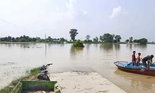 सतलुज नदी से Fazilka के 15 गांवों की हजारों एकड़ जमीन जलमग्न सतलुज नदी से Fazilka के 15 गांवों की हजारों एकड़ जमीन जलमग्न