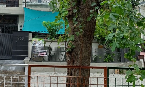 Haryana : कुरुक्षेत्र में पेड़ों की छंटाई से गुस्सा भड़क उठा