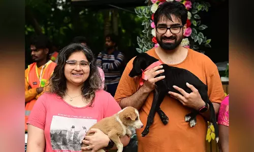 गोद लिए गए देशी पिल्लों को परिवार के समान समझें: Commissioner