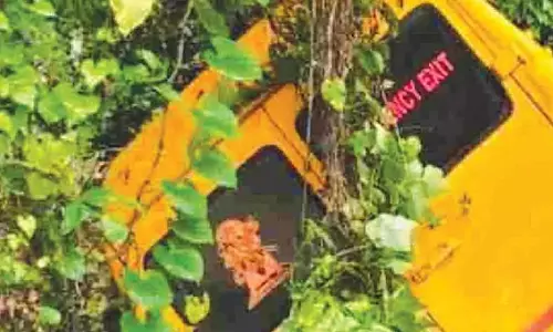 nursery  के बच्चों को ले जा रही स्कूल बस पलटी