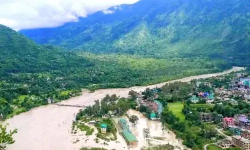Himachal: सतलुज नदी में उफान के बाद सुन्नी में बाढ़, पुल और घर प्रभावित Himachal: सतलुज नदी में उफान के बाद सुन्नी में बाढ़, पुल और घर प्रभावित