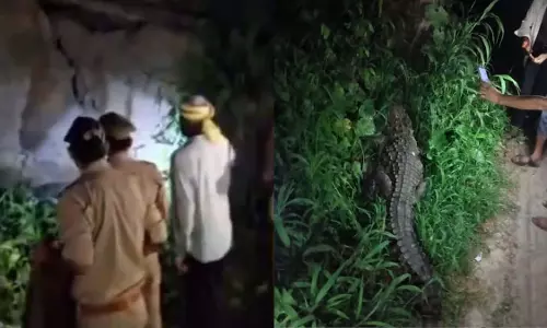 Sonbhadra: रात में घर के पास मगरमच्छ के दिखाई देने से गांव में दहशत