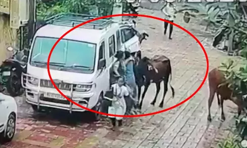 डरावना मंजर...महिला के साहस का LIVE वीडियो