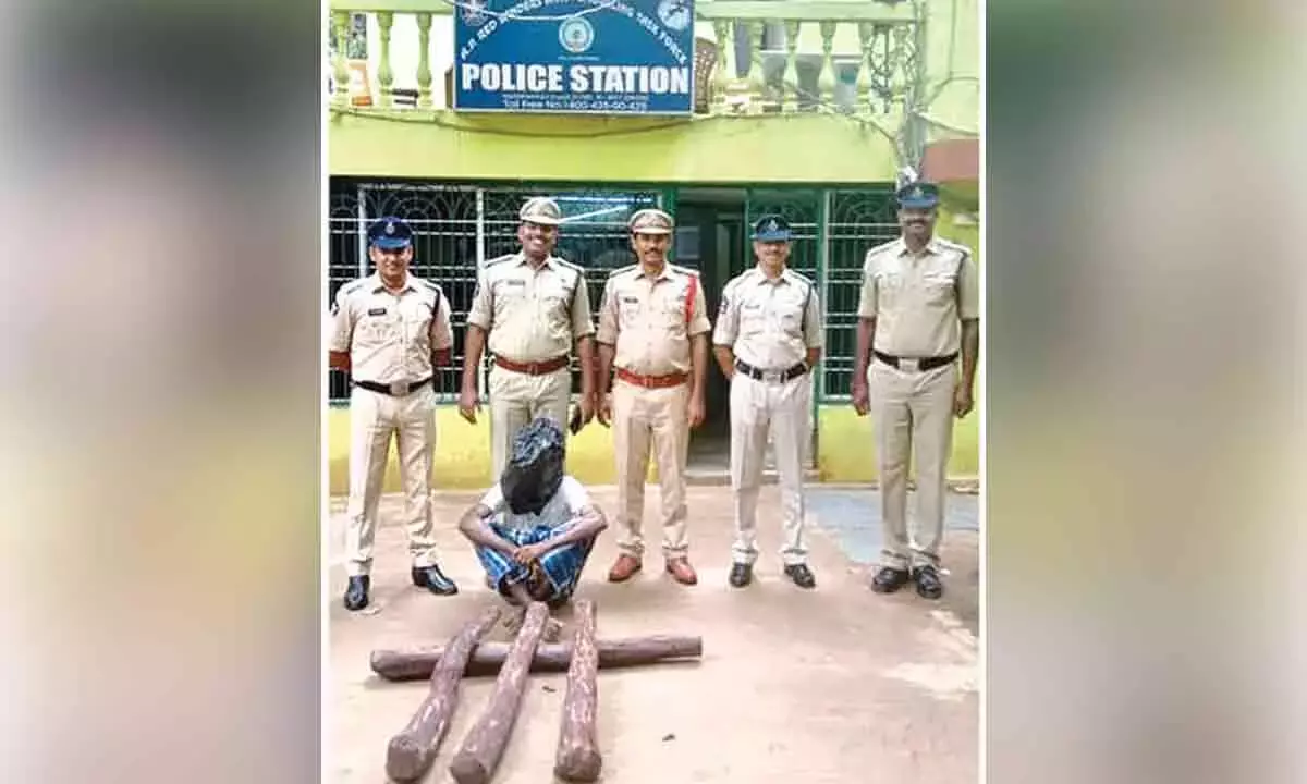 Andhra: लाल चंदन तस्कर गिरफ्तार Andhra: लाल चंदन तस्कर गिरफ्तार