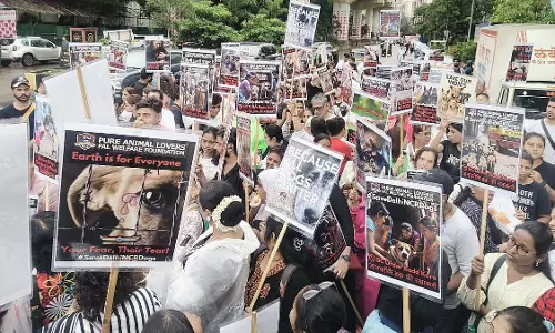 Mumbai: आवारा कुत्तों के स्थानांतरण को लेकर पशु प्रेमियों की चेतावनी