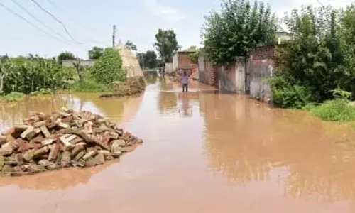 Punjab : 14,200 एकड़ जमीन बाढ़ के पानी से प्रभावित: मंत्री