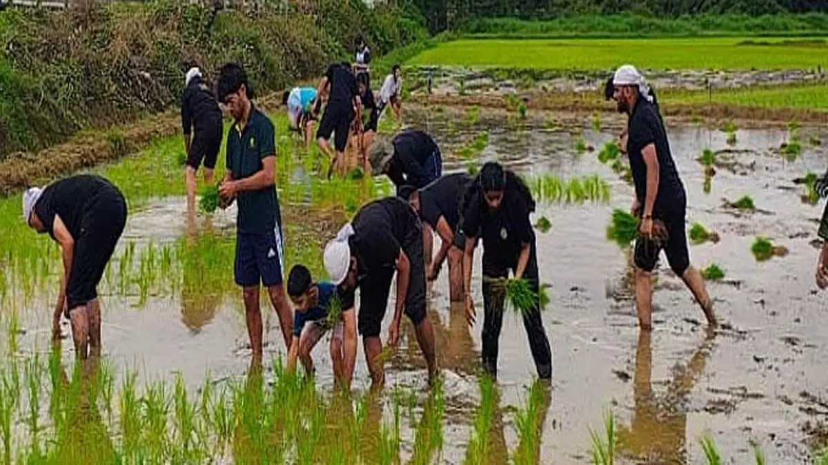 Kodava समुदाय के युवा मदिकेरी में खाली पड़ी कृषि भूमि पर नाटी पानी का आनंद लेते हुए Kodava समुदाय के युवा मदिकेरी में खाली पड़ी कृषि भूमि पर नाटी पानी का आनंद लेते हुए