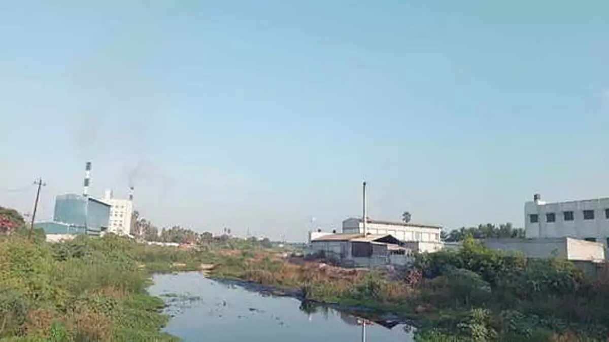 Water Resources Department ने तिरुप्पुर में नल्लारू नदी के किनारे अतिक्रमणों की पहचान के लिए ड्रोन सर्वेक्षण की बनाई है योजना Water Resources Department ने तिरुप्पुर में नल्लारू नदी के किनारे अतिक्रमणों की पहचान के लिए ड्रोन सर्वेक्षण की बनाई है योजना