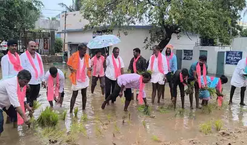 BRS नेताओं ने स्कूल परिसर में धान की फसल बोकर विरोध जताया BRS नेताओं ने स्कूल परिसर में धान की फसल बोकर विरोध जताया