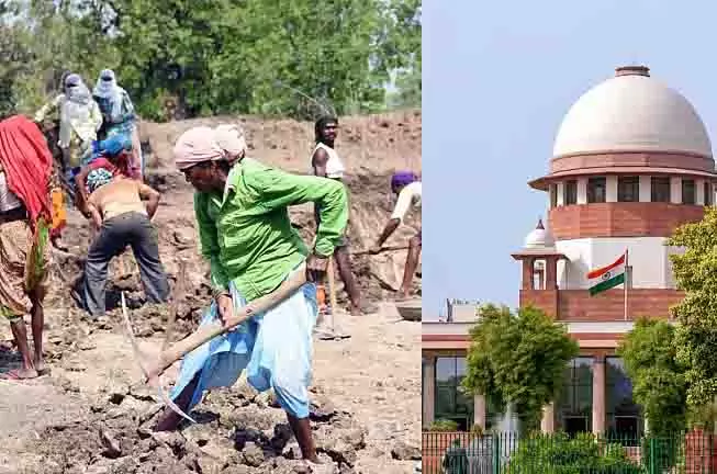 केंद्र ने बंगाल में 100 दिन काम करने संबंधी हाईकोर्ट के आदेश को सुप्रीम कोर्ट में चुनौती दी केंद्र ने बंगाल में 100 दिन काम करने संबंधी हाईकोर्ट के आदेश को सुप्रीम कोर्ट में चुनौती दी