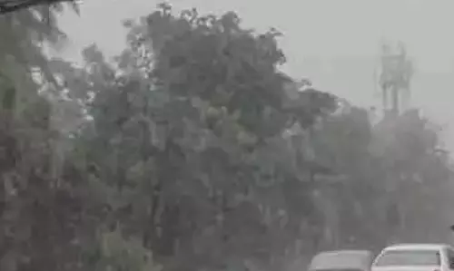 छत्तीसगढ़ : झमाझम बारिश होने की चेतावनी जारी