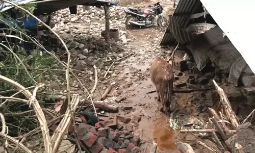 Kathua बादल फटने में 7 मृत, 11 घायल