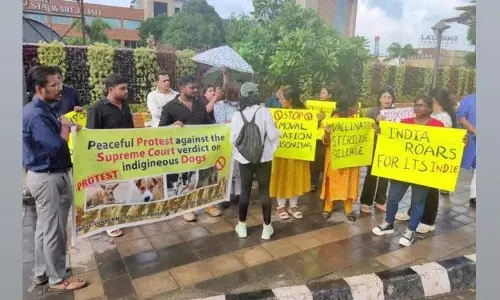 आवारा कुत्तों पर अदालत के फैसले का विरोध