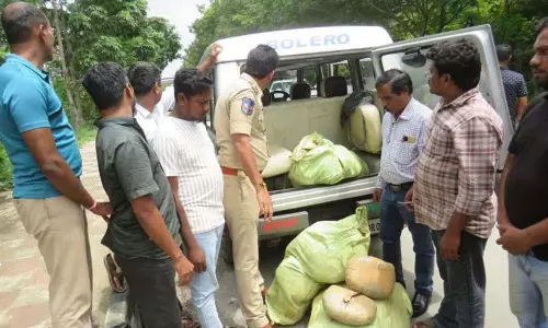 Sangareddy में 128 किलोग्राम गांजा जब्त, चार गिरफ्तार