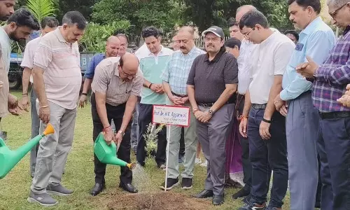 Rohtak  स्वास्थ्य विश्वविद्यालय हरित आवरण को बढ़ावा देने के लिए अभियान की योजना बना रहा
