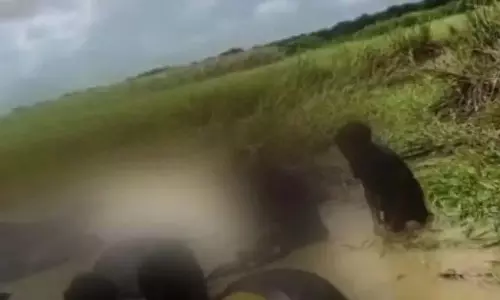 Kendrapara : नदी पार करते वक्त 73 भैंसों की मौत Kendrapara : नदी पार करते वक्त 73 भैंसों की मौत