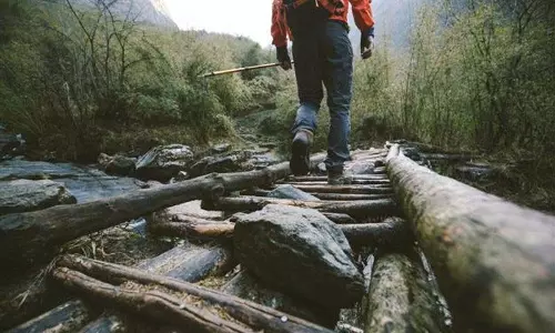 Kinnaur में युल्ला कांडा ट्रेक से 150 फंसे हुए पर्यटकों को बचाया गया Kinnaur में युल्ला कांडा ट्रेक से 150 फंसे हुए पर्यटकों को बचाया गया