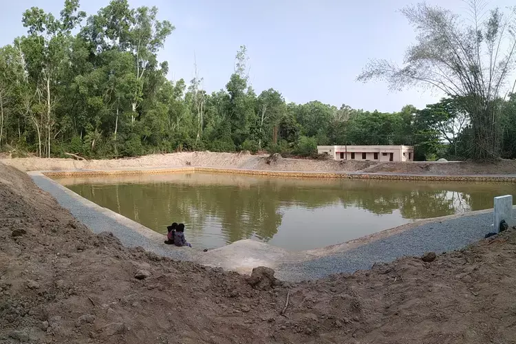 Kerala : अमीबिक एन्सेफलाइटिस क्या है इसके लक्षण, बचाव और इलाज के बारे में और जानें