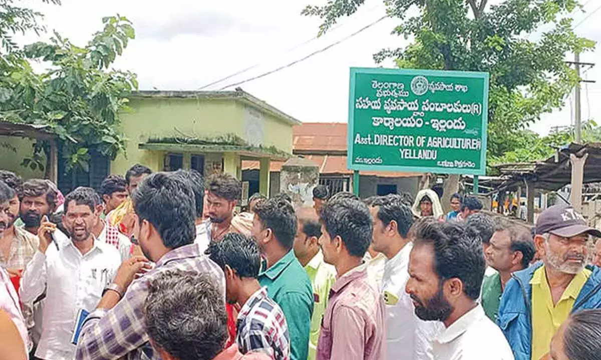 Telangana: भद्राद्री में यूरिया की भारी कमी से किसान परेशान Telangana: भद्राद्री में यूरिया की भारी कमी से किसान परेशान