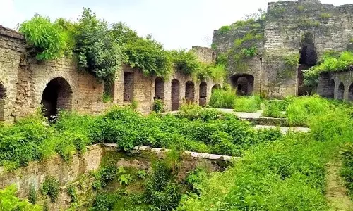 Himachal: सोलासिंगी की पत्थर की दीवारें आज भी राजाओं और विजयों की कहानी