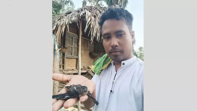 जलवायु परिवर्तन और आवास हानि से असम में पक्षी प्रजातियों को खतरा