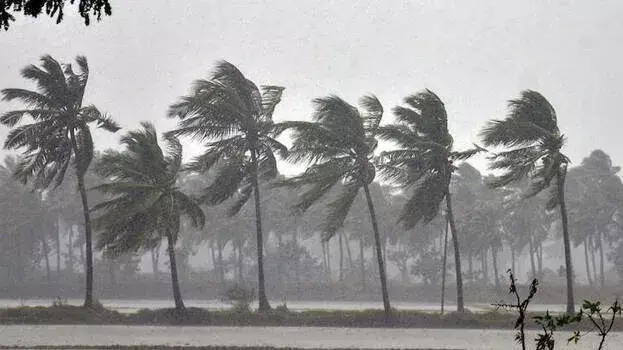 Kerala: भारी बारिश के कारण रसोईघर ढह गया; पलक्कड़ में गृहिणी बाल-बाल बची Kerala: भारी बारिश के कारण रसोईघर ढह गया; पलक्कड़ में गृहिणी बाल-बाल बची