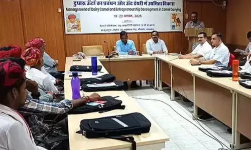 Bikaner: पांच दिवसीय प्रशिक्षण शुरू, दुधारू ऊंटनियों और उद्यमिता पर फोकस