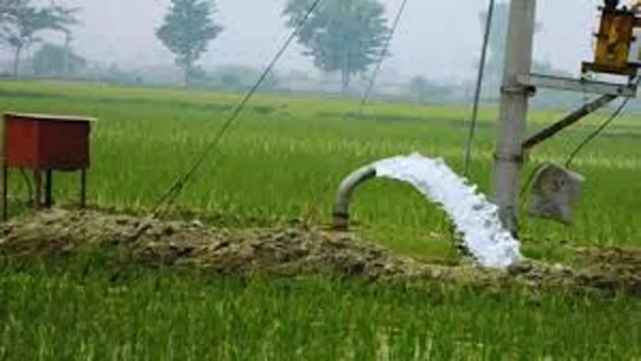 बिहार के 20 बाजारों में ई-नाम लागू, किसानों को मिलेगा राष्ट्रीय स्तर पर उपज बिक्री का प्लेटफॉर्म बिहार के 20 बाजारों में ई-नाम लागू, किसानों को मिलेगा राष्ट्रीय स्तर पर उपज बिक्री का प्लेटफॉर्म