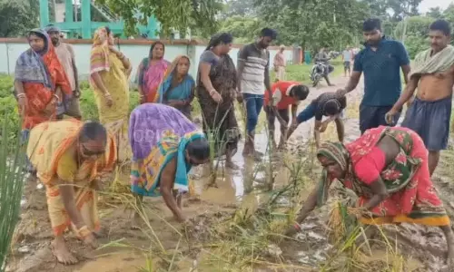 Odisha : ग्रामीणों ने कीचड़ भरी सड़क पर धान के पौधे रोपे Odisha : ग्रामीणों ने कीचड़ भरी सड़क पर धान के पौधे रोपे