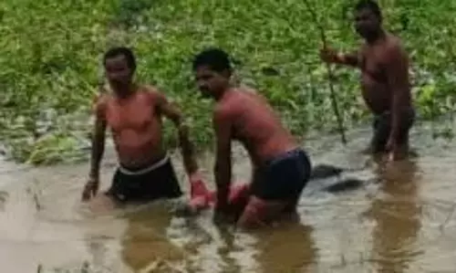 आरंग पुल से लापता महिला की लाश मिली