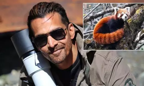 Harshvardhan Rane : तस्वीर एक व्यक्ति के विचार जैसी होती है