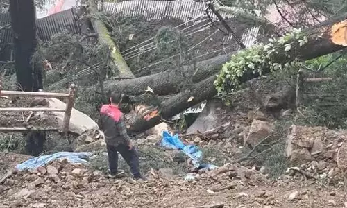 Shimla: भूस्खलन, बेनमोर से 30 परिवार सुरक्षित निकाले गए