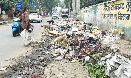 Haryana : अस्थायी योजना नाकाम, रोहतक की सड़कों पर फैला कचरा Haryana : अस्थायी योजना नाकाम, रोहतक की सड़कों पर फैला कचरा